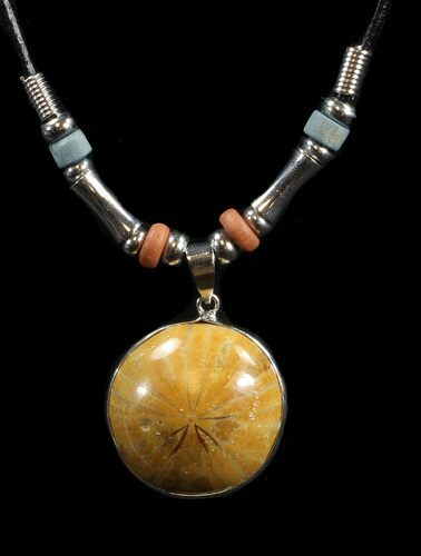 Polished Fossil Sand Dollar Necklace #43101